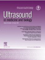 Guidelines and Good Clinical Practice Recommendations for Contrast-Enhanced Ultrasound (CEUS) in the Liver–Update 2020 WFUMB in Cooperation with EFSUMB, AFSUMB, AIUM, and FLAUS